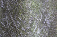 Limpsfield Chart fibreglass roof work